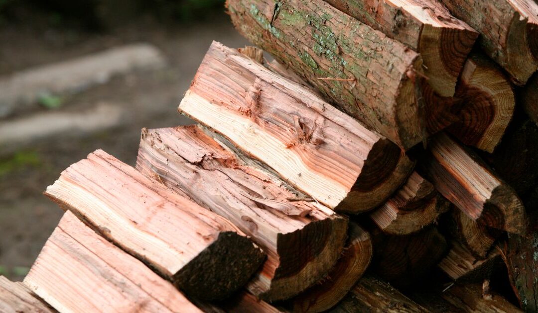 A Guide To Seasoning & Storing Wood