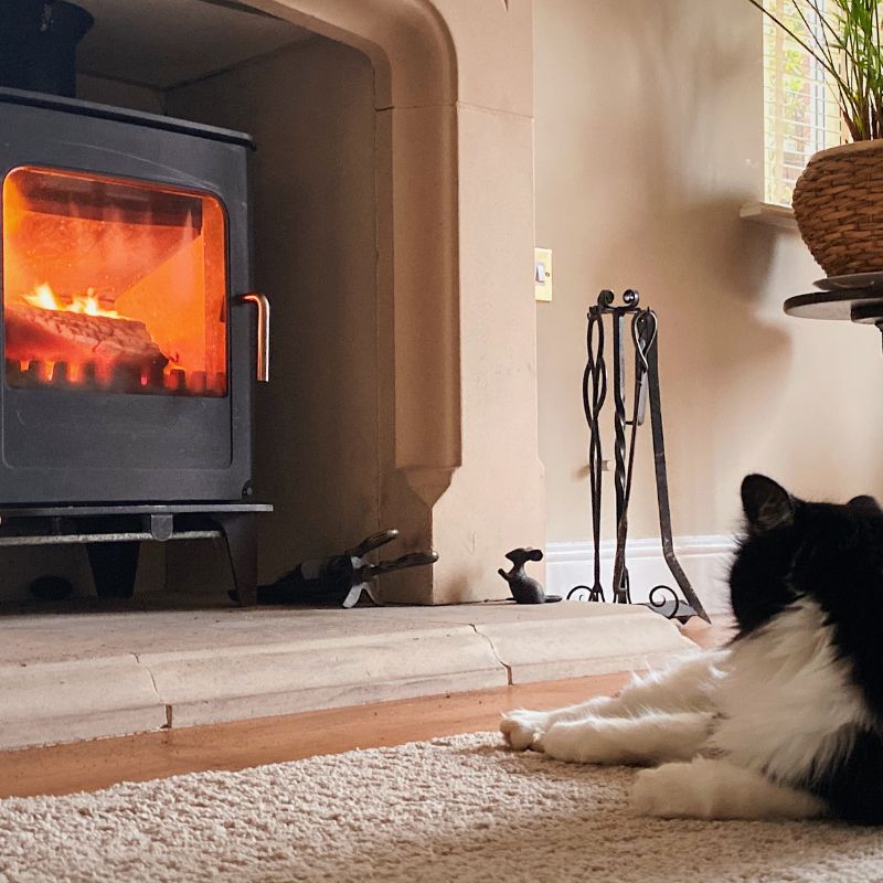 a black and white cat laying by a heated fireplace stove