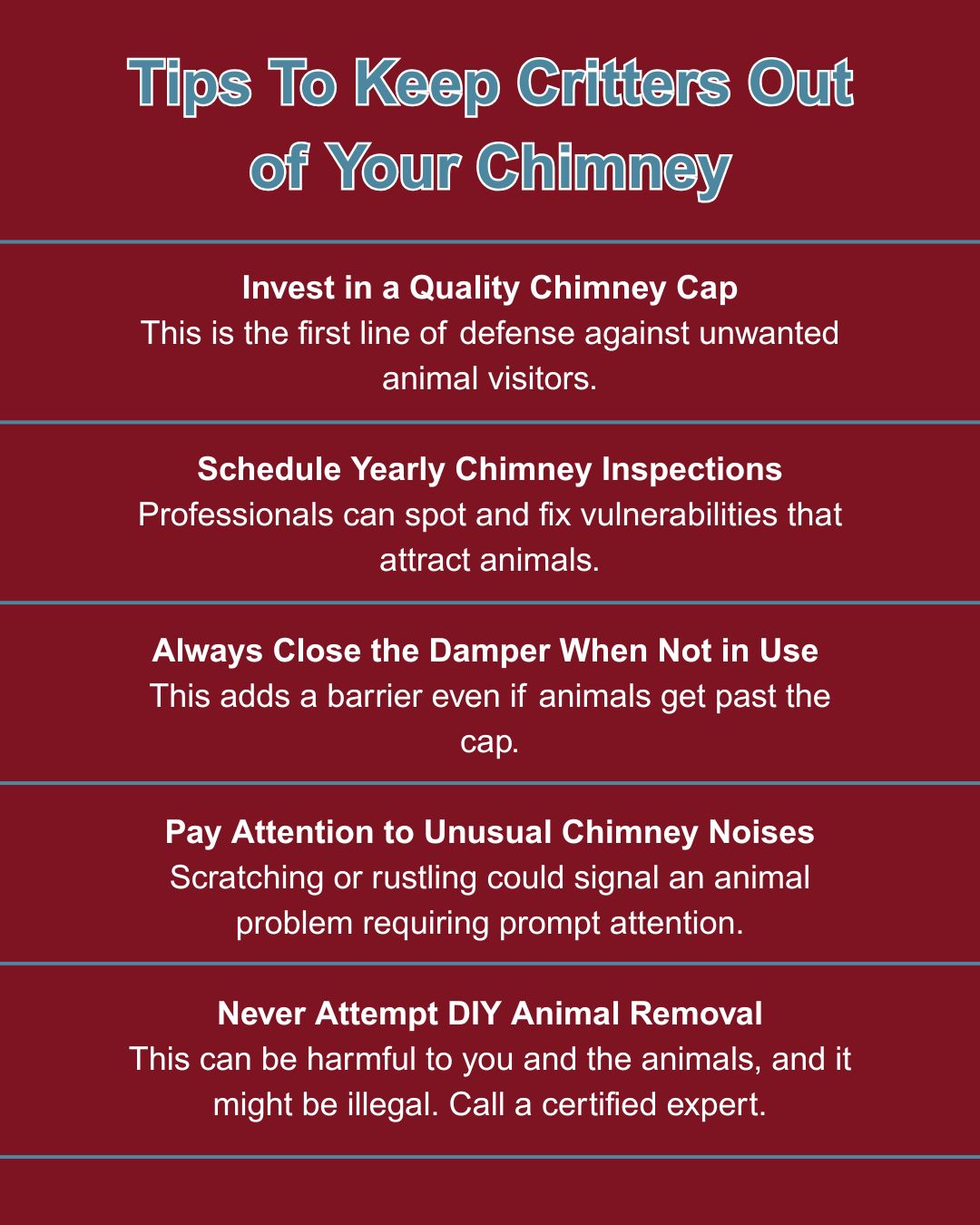 original infographic detailing tips to keep animals out of a chimney original infographic detailing tips to keep animals out of a chimney